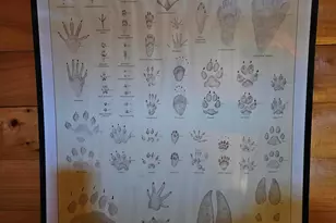 0 Canton Mountain Rd, Canton, ME 04221 - Photo 49