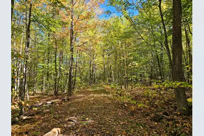 0 Canton Mountain Road, Canton, ME 04221 - Photo 67