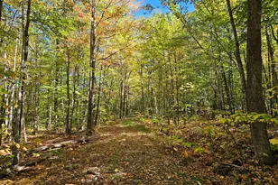 0 Canton Mountain Rd, Canton, ME 04221 - Photo 67