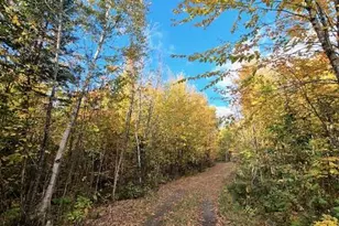 Lot 2 Morrison Brook Acres, Oakfield, ME 04763 - Photo 15