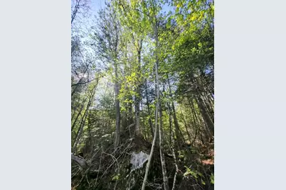 Lot 2 Morrison Brook Acres, Oakfield, ME 04763 - Photo 13