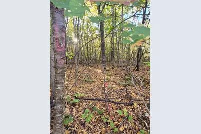 Lot 2 Morrison Brook Acres, Oakfield, ME 04763 - Photo 19