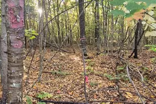 Lot 2 Morrison Brook Acres, Oakfield, ME 04763 - Photo 19