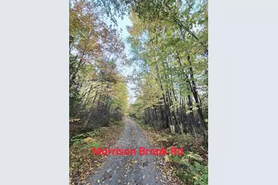 Lot 2 Morrison Brook Acres, Oakfield, ME 04763 - Photo 17