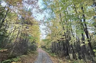 Lot 2 Morrison Brook Acres, Oakfield, ME 04763 - Photo 17