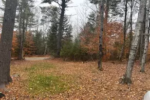 54-1 Glass Hill Road Rd, Guilford, ME 04443 - Photo 1