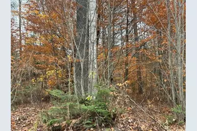 54-1 Glass Hill Road Road, Guilford, ME 04443 - Photo 5