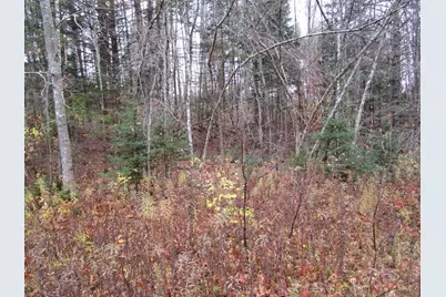 Lot 25 Medford Center, Medford, ME 04463 - Photo 5