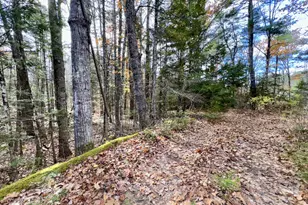 2738 Burkettville Rd, Liberty, ME 04949 - Photo 27