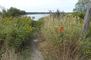 225 County Rd, Lubec, ME 04652 - Photo 31