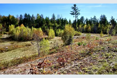 780 Spring Bridge Road, Greenbush, ME 04418 - Photo 45