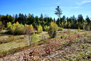 780 Spring Bridge Rd, Greenbush, ME 04418 - Photo 45