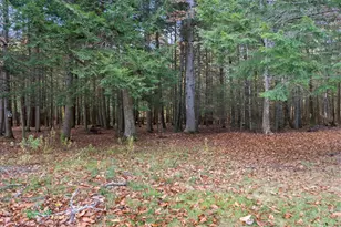 82 Carll Rd, Buxton, ME 04093 - Photo 95