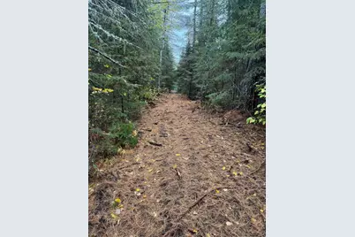 00 Bradbury Brook Road, Clifton, ME 04428 - Photo 29