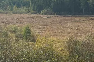 00 Bradbury Brook Rd, Clifton, ME 04428 - Photo 17