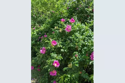 1450 Harpswell Neck Road, Harpswell, ME 04079 - Photo 11