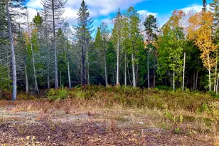 28 Mount Gilboa Wy, Tremont, ME 04653 - Photo 41