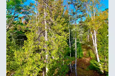 28 Mount Gilboa Way, Tremont, ME 04653 - Photo 39