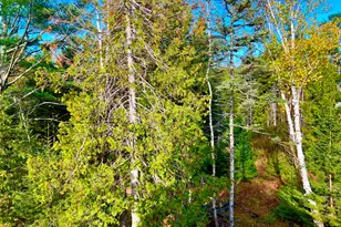 28 Mount Gilboa Wy, Tremont, ME 04653 - Photo 39