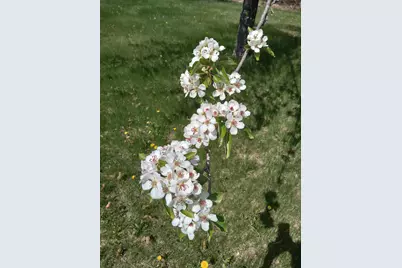 389 Higgins Road, Pittsfield, ME 04967 - Photo 59