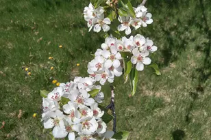 389 Higgins Rd, Pittsfield, ME 04967 - Photo 59