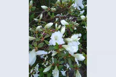 389 Higgins Road, Pittsfield, ME 04967 - Photo 65