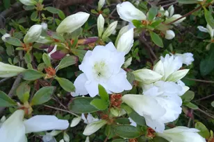 389 Higgins Rd, Pittsfield, ME 04967 - Photo 65