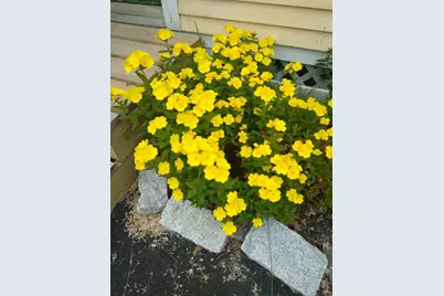 389 Higgins Road, Pittsfield, ME 04967 - Photo 71