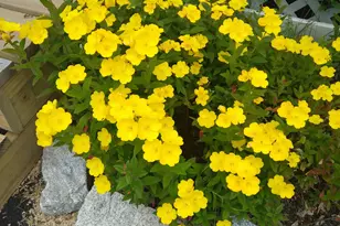 389 Higgins Rd, Pittsfield, ME 04967 - Photo 71