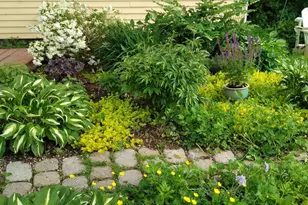 389 Higgins Rd, Pittsfield, ME 04967 - Photo 79