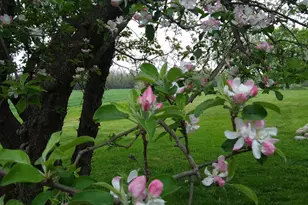 389 Higgins Rd, Pittsfield, ME 04967 - Photo 61