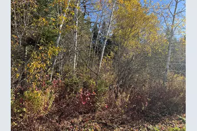 M2 L39-1 Pease Road, Mapleton, ME 04757 - Photo 9