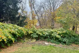 1542 Congress St, Portland, ME 04102 - Photo 5