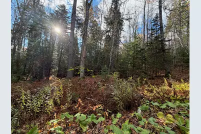 0 Lockhart Cove Road Road, Bristol, ME 04558 - Photo 5