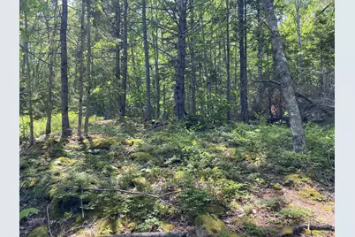 13 Porcupine Lane, Westport, ME 04578 - Photo 11