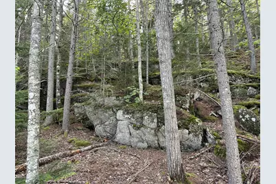 13 Porcupine Lane, Westport, ME 04578 - Photo 17