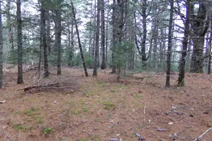 Lot 3E Rogers Point Rd, Steuben, ME 04680 - Photo 1