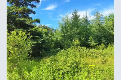 Lot 36-D Grimes Road, Caribou, ME 04736 - Photo 31