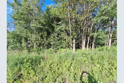 Lot 36-D Grimes Road, Caribou, ME 04736 - Photo 21