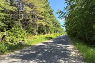 Off Andrews Rd, Drew Plt, ME 04497 - Photo 35