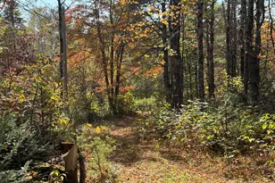 Off Andrews Rd, Drew Plt, ME 04497 - Photo 37