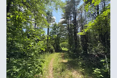 Off Andrews Road, Drew Plt, ME 04497 - Photo 33