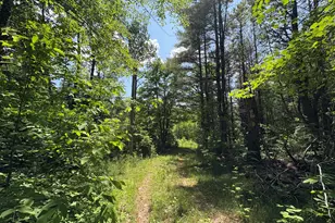 Off Andrews Rd, Drew Plt, ME 04497 - Photo 33