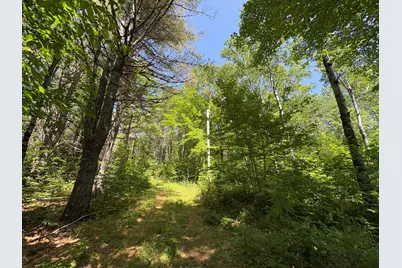 Off Andrews Road, Drew Plt, ME 04497 - Photo 31