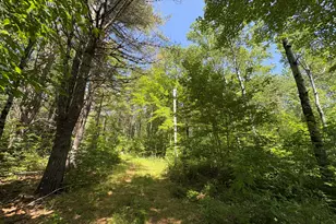 Off Andrews Rd, Drew Plt, ME 04497 - Photo 31