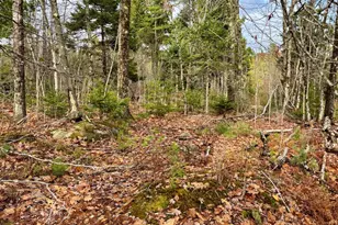 0 Millvale Rd, Bucksport, ME 04416 - Photo 1