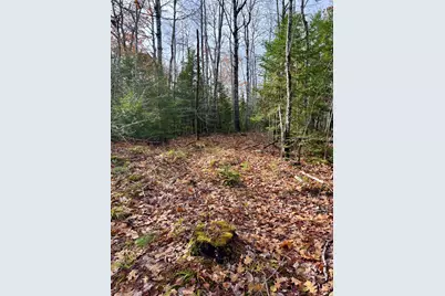 0 Millvale Road, Bucksport, ME 04416 - Photo 3