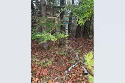 Lot 1-B 1 Sebago Road, Baldwin, ME 04029 - Photo 5