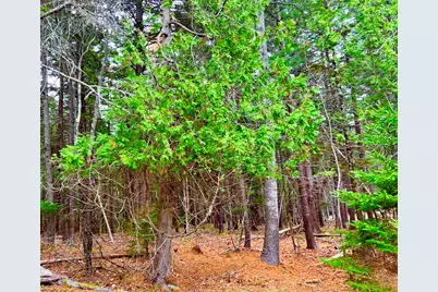 16 Long Pond Road, Southwest Harbor, ME 04679 - Photo 43