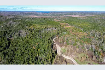 Lot 3 Holmes Bay Farm, Whiting, ME 04691 - Photo 5